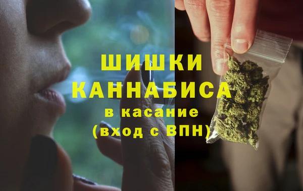 гашик Лагань
