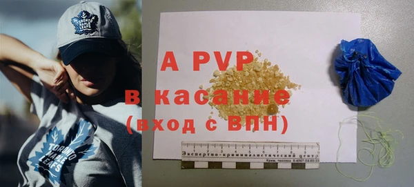 PSILOCYBIN Белокуриха