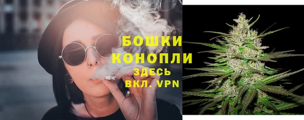 мескалин Лабытнанги