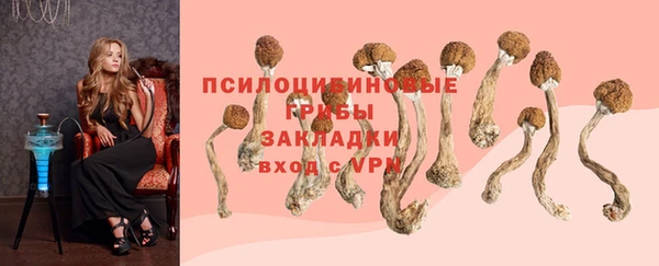 мдпв Беломорск