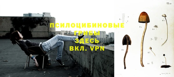 мдпв Беломорск