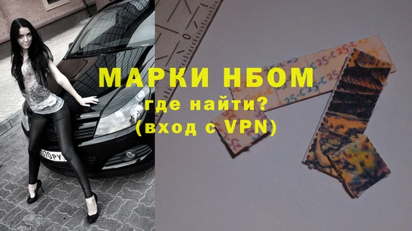 PSILOCYBIN Белокуриха