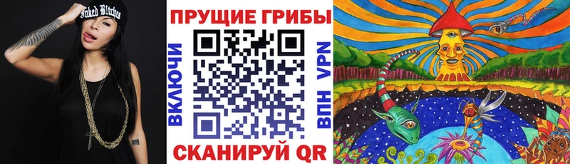 наркотики  Рыбинск  Псилоцибиновые грибы Cubensis 